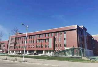 浙江珍稀城镇绿化苗种植表