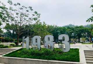 宁夏柑橘树苗有些什么新品种