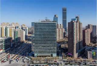 微型伐木机器人厂家